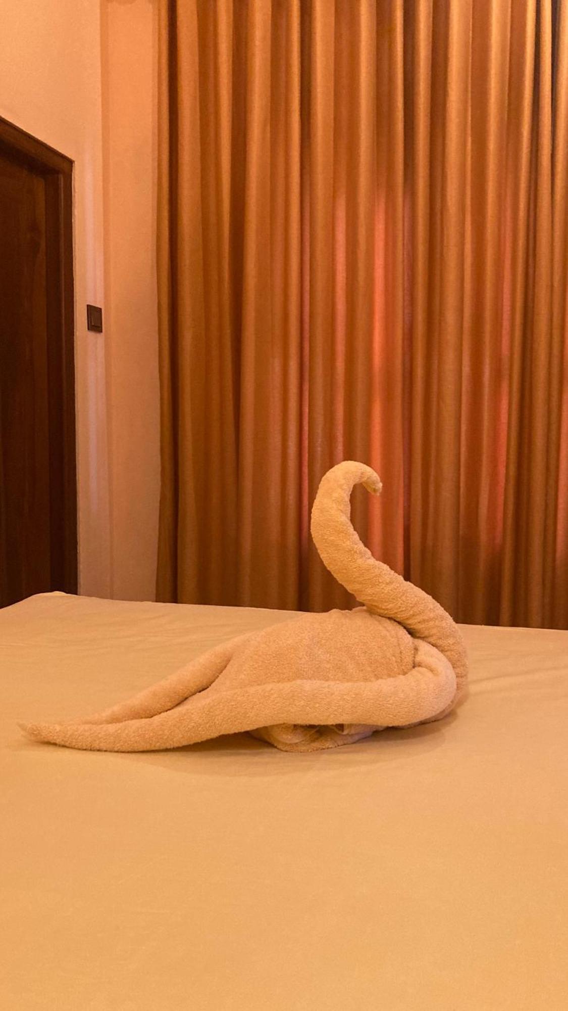 Ayubowan Hiriketiya Apartment Dikwella Bagian luar foto
